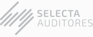 Selecta Auditores